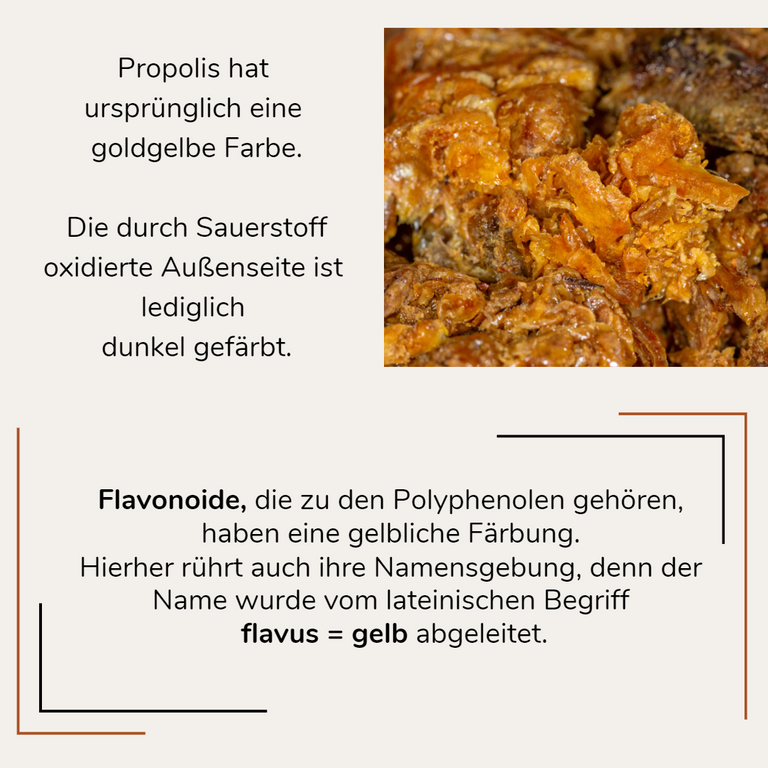 Propolis